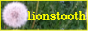 Green marbled background with illustration of a dandelion and text: Lionstooth